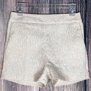 Express - High Waisted Shorts